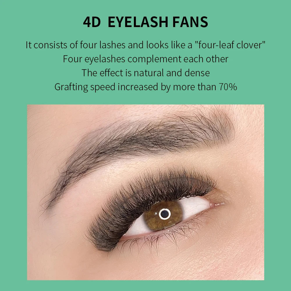 GLAMLASH 4D W Forma Estensioni - Eyelash Extension For Asian Eyes recensione e prezzo